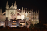 Palma -Kathedrale bei Nacht